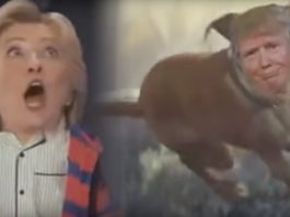 John Lewis Hillary and Trump