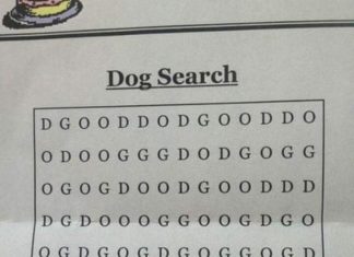 word search